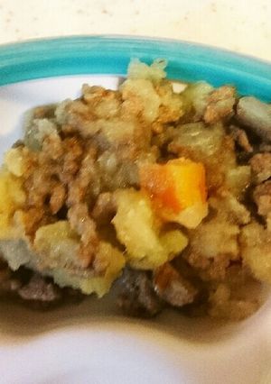離乳食後期～煮込むだけ簡単肉じゃが♪-レシピのメイン写真