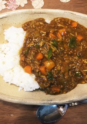 小さな子供にも☆野菜たっぷりひき肉カレー-レシピのメイン写真