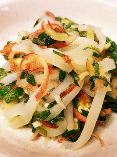 おつまみに♪イカ刺身のタップリ薬味和え-レシピのメイン写真