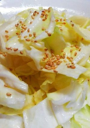おつまみキャベツ-レシピのメイン写真