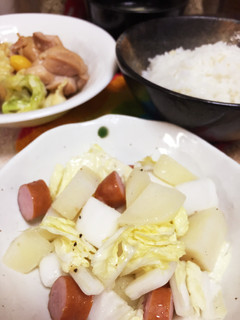 止まらない!!冬白菜のサラダ-レシピのメイン写真