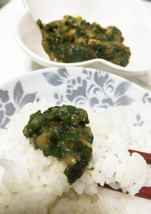 ご飯が進むよ♡青い部分のねぎ味噌♡-レシピのメイン写真