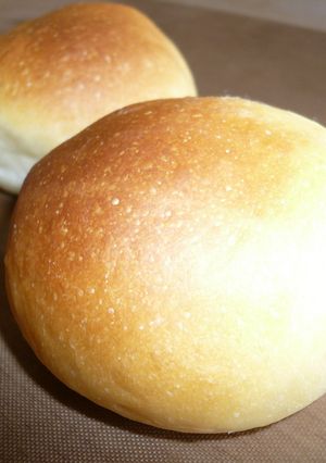 丸パン（菓子パンの基本生地）-レシピのメイン写真