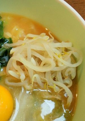 簡単楽チン☆洗い物要らずの茹でモヤシ♪-レシピのメイン写真