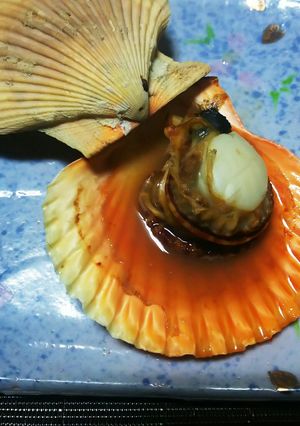 長島産ヒオウギ貝のオーブントースター焼き-レシピのメイン写真