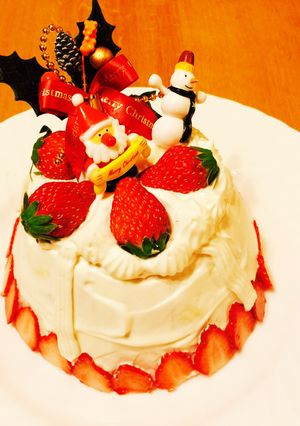 クリスマスドームケーキ-レシピのメイン写真