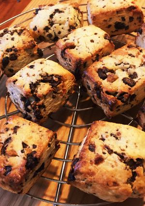 天然酵母で作るチョコスコーン-レシピのメイン写真