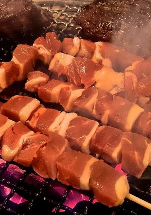 炭火で焼く！フランス鴨のやきとり-レシピのメイン写真