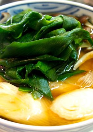 緑と白がうまい！南部太葱たっぷり蕎麦-レシピのメイン写真