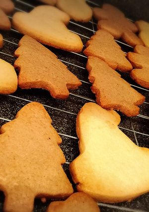 ♪ココアクッキー♪-レシピのメイン写真