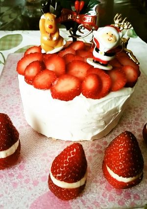 2015♡犬用クリスマスケーキ♪-レシピのメイン写真
