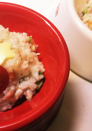 犬ご飯☆鶏と野菜のクリスマスリゾット-レシピのメイン写真