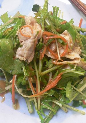 コチュポン♪みず菜の冷しゃぶサラダ-レシピのメイン写真
