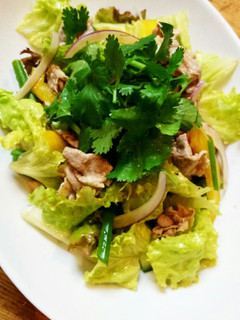 豚しゃぶのスパイシーサラダ-レシピのメイン写真
