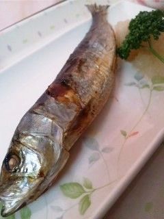 鰯は弱い魚なんかじゃないよ!-レシピのメイン写真