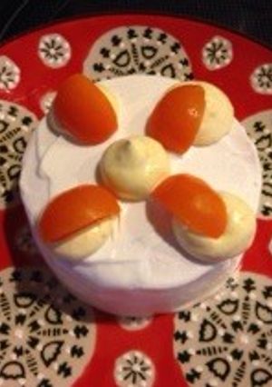 犬用クリスマスケーキ-レシピのメイン写真