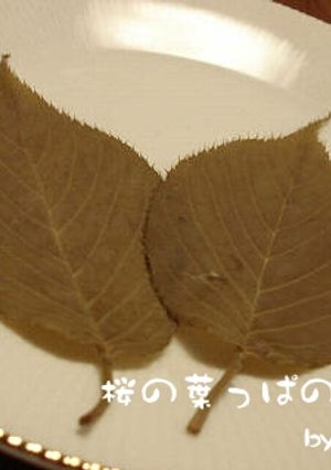 桜の葉っぱの塩漬け-レシピのメイン写真
