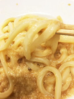 ズボラ飯の極み とろとろうどん-レシピのメイン写真