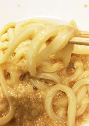 ズボラ飯の極み とろとろうどん-レシピのメイン写真