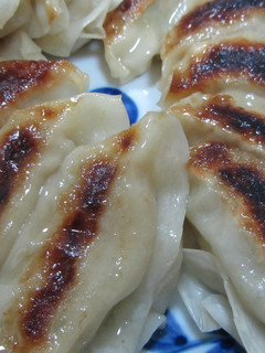 焼きぎょうざ-レシピのメイン写真