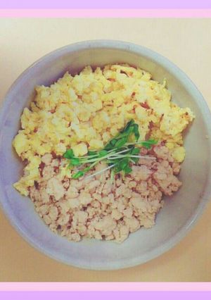 ❀そぼろ丼❀-レシピのメイン写真