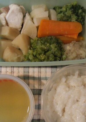 ９ケ月の離乳食弁当-レシピのメイン写真