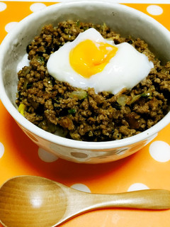 ピリ辛肉味噌どんぶり-レシピのメイン写真