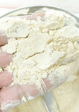 微粉砕機で野菜パウダー作り（大根）-レシピのメイン写真