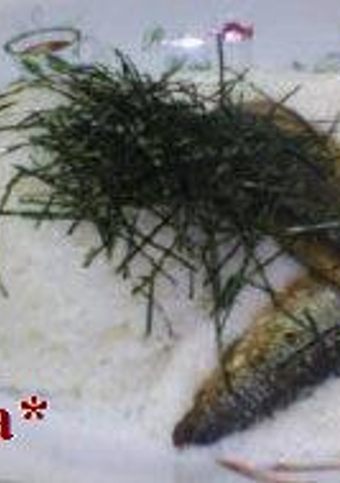 ✿いわキムとろろ丼✿-レシピのメイン写真