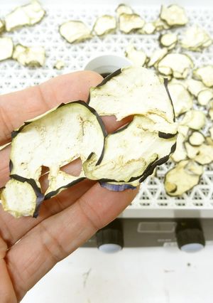野菜乾燥機で干しなす作り-レシピのメイン写真