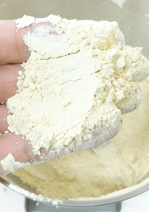 製粉機でオニオンパウダー作り-レシピのメイン写真