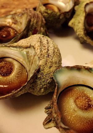 サザエのつぼ焼き-レシピのメイン写真