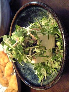 薬味たっぷりの冷やっこ-レシピのメイン写真