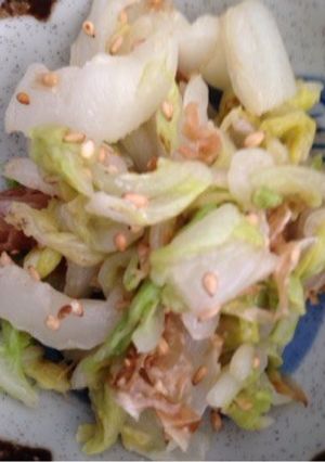 簡単！白菜のマヨサラダ-レシピのメイン写真