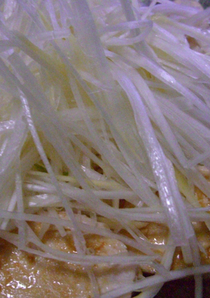 蒸し鶏のたっぷりネギ添え-レシピのメイン写真