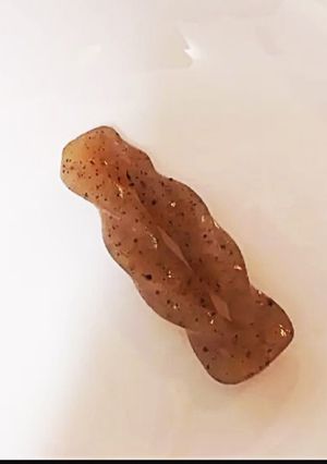 こんにゃく 煮しめ 煮物 飾り 簡単-レシピのメイン写真