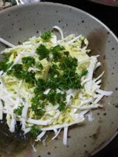白菜のサラダ-レシピのメイン写真