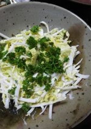 白菜のサラダ-レシピのメイン写真