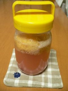 イチジクの自家製天然酵母-レシピのメイン写真