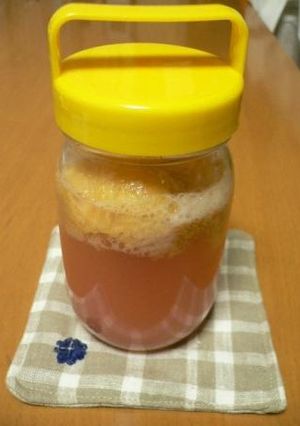 イチジクの自家製天然酵母-レシピのメイン写真