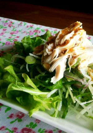 レンジでしっとり鶏ささみ♪サラダなどに☆-レシピのメイン写真