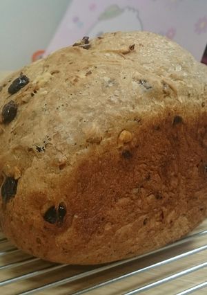 毎日食べてる^^☆HBレーズンくるみパン-レシピのメイン写真