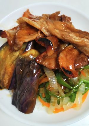 野菜たっぷり豚肉の蒲焼き丼-レシピのメイン写真