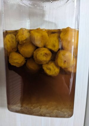 落ちて傷ついた梅・熟した梅で★梅シロップ-レシピのメイン写真