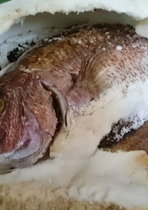鯛の塩釜焼き-レシピのメイン写真