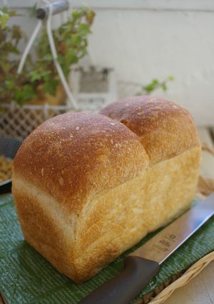 ホシノで山型食パン-レシピのメイン写真