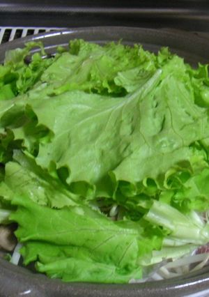 野菜たっぷりレタス鍋-レシピのメイン写真
