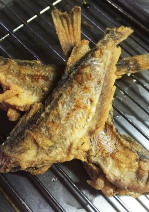 ハタハタの唐揚げ-レシピのメイン写真