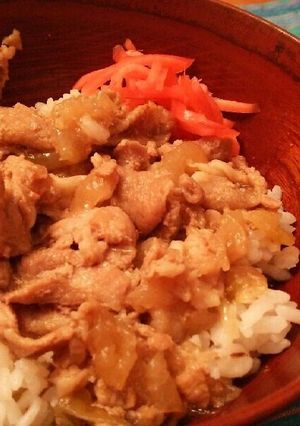 [全部入れて煮るだけ] うまうま豚丼-レシピのメイン写真