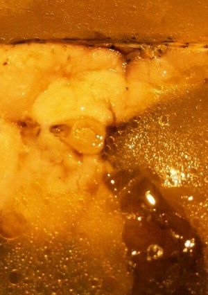 酸菜魚-レシピのメイン写真